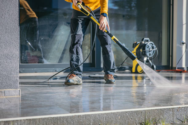 Best Vinyl Siding Pressure Washing in Alamo, GA